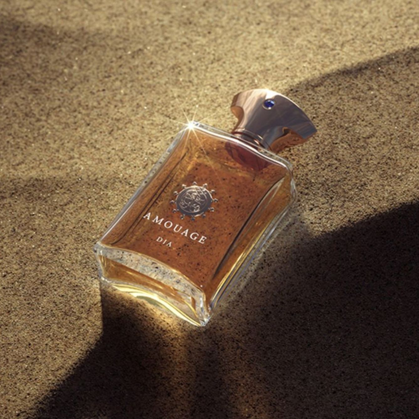 Amouage Dia Man Eau de Parfum for Men