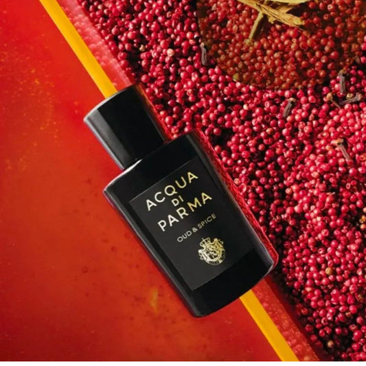 Acqua di Parma Oud & Spice Eau de Parfum for Men