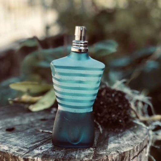 Le Male (Eau de Toilette) Jean Paul Gaultier Men