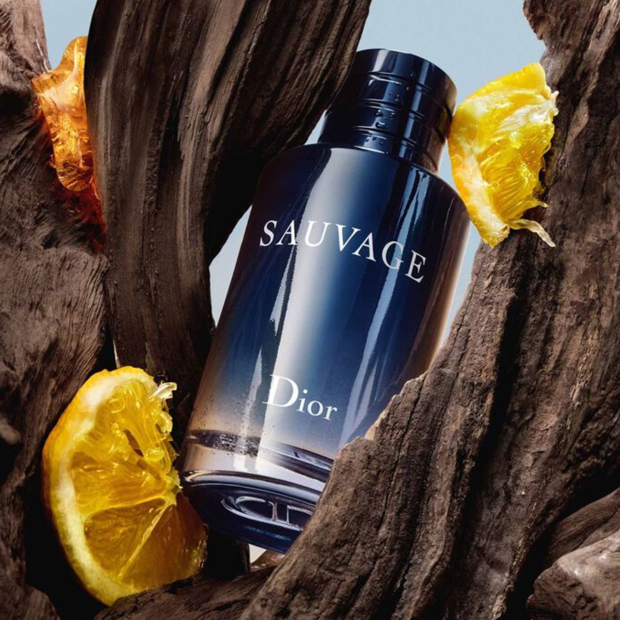 Sauvage (Eau de Toilette) Christian Dior MEN